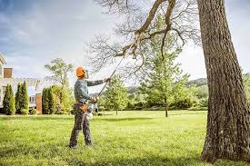 Best Tree Health Inspection  in Beaver Dam Lake, NY